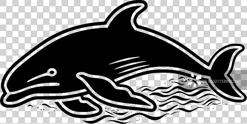 鲸鱼 - 黑白色图片素材