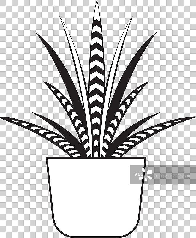 芦荟花盆线条图标室内植物绿意图片素材