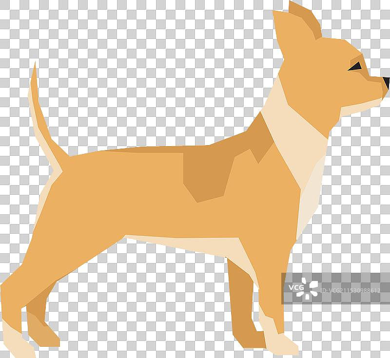 侧面视图的吉娃娃犬种图标彩色狗狗图片素材