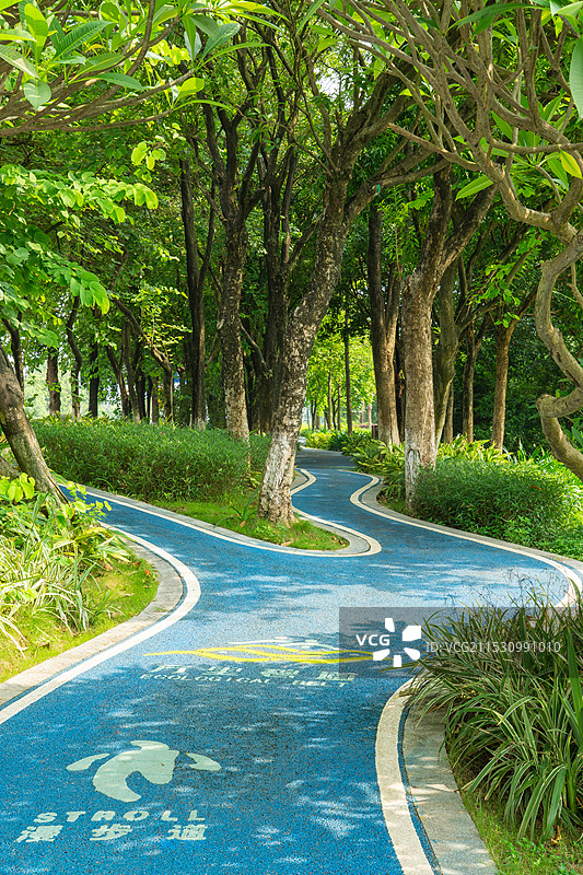 林间跑步道，碧道 ，绿道图片素材