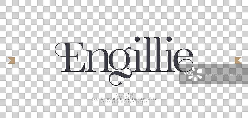 美丽奢华优雅字体字母标志图片素材