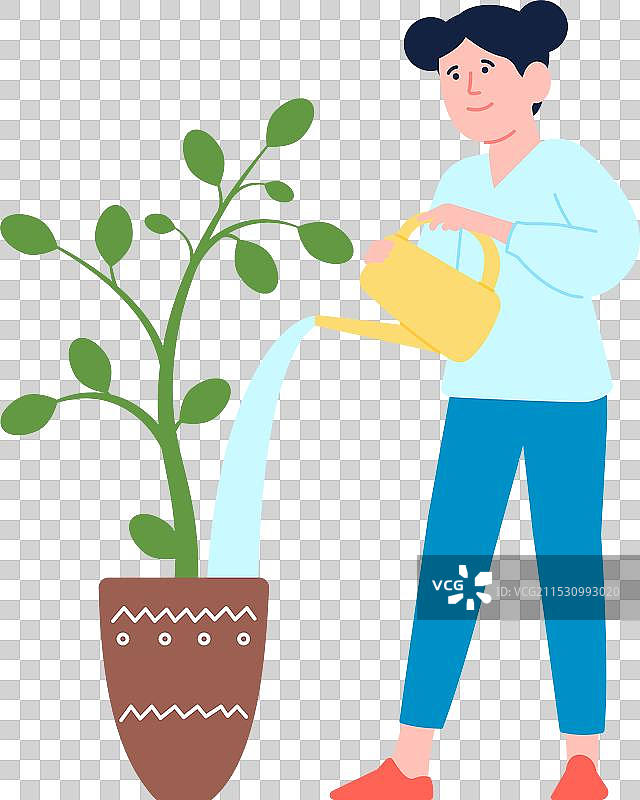 女孩在家中浇灌室内植物图片素材