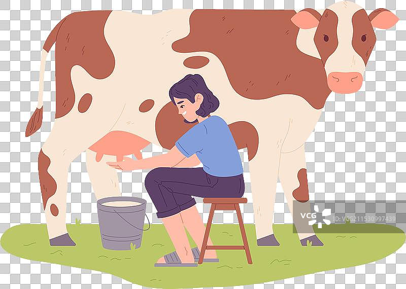 奶牛女工在乡村农场工作图片素材