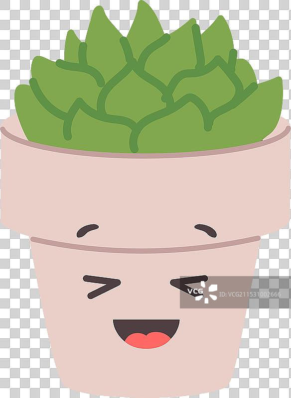 可爱的花盆中笑着的多肉植物图片素材