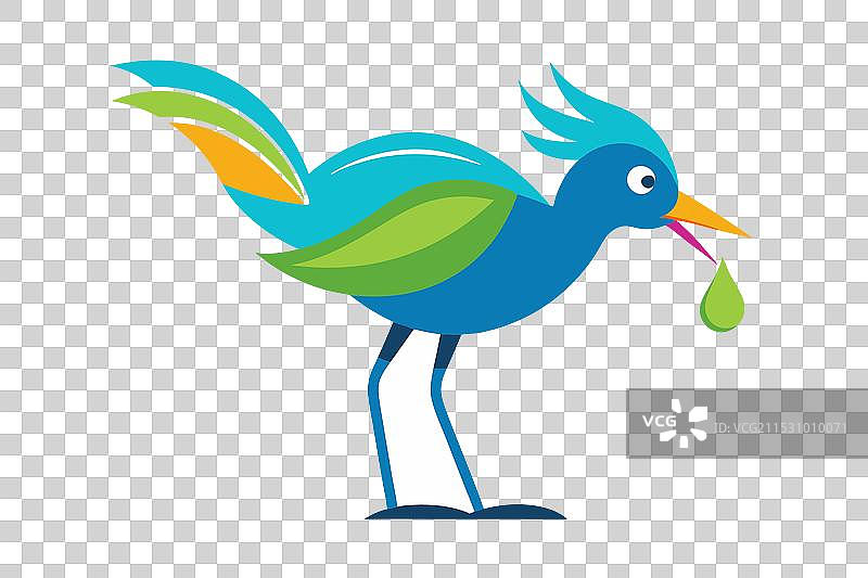 鸟在喝水图片素材