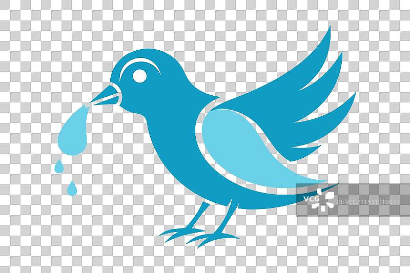 鸟在喝水图片素材