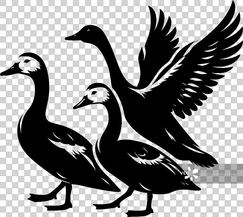 白色背景上的鸭子轮廓剪影图片素材