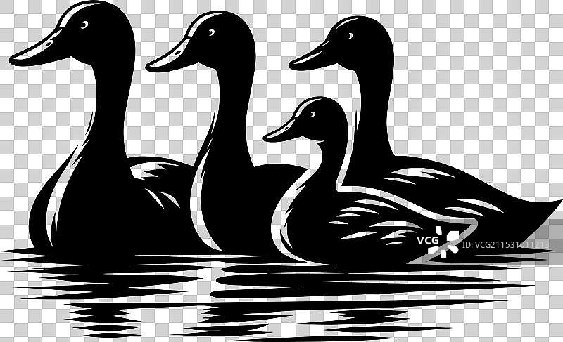 白色背景上的鸭子轮廓剪影图片素材