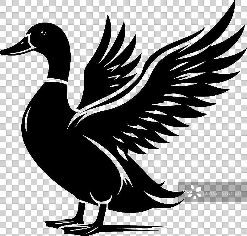白色背景上的鸭子轮廓剪影图片素材