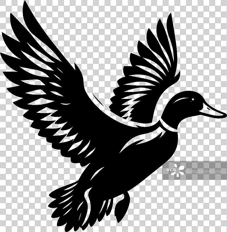 白色背景上的鸭子轮廓剪影图片素材