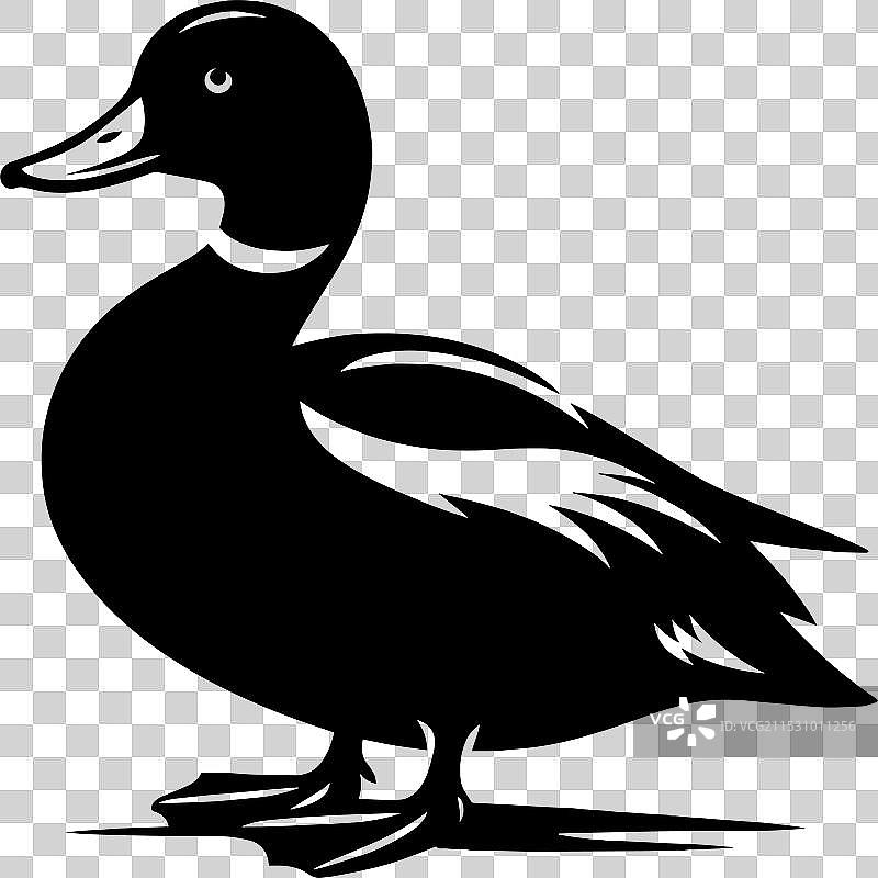 白色背景上孤立的鸭子轮廓图片素材