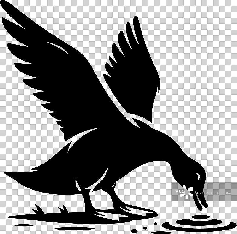 白色背景上的鸭子轮廓剪影图片素材