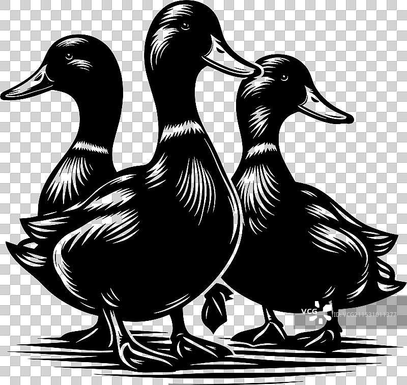 白色背景上的鸭子轮廓剪影图片素材