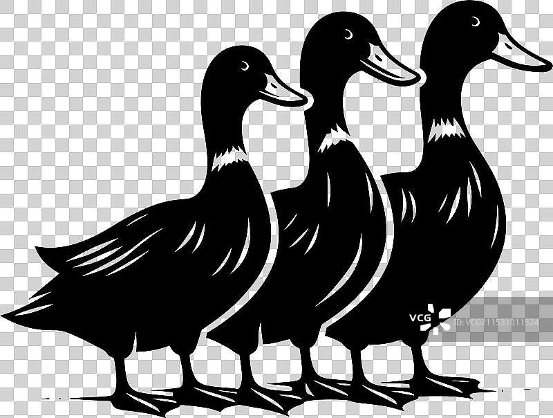 白色背景上的鸭子轮廓剪影图片素材