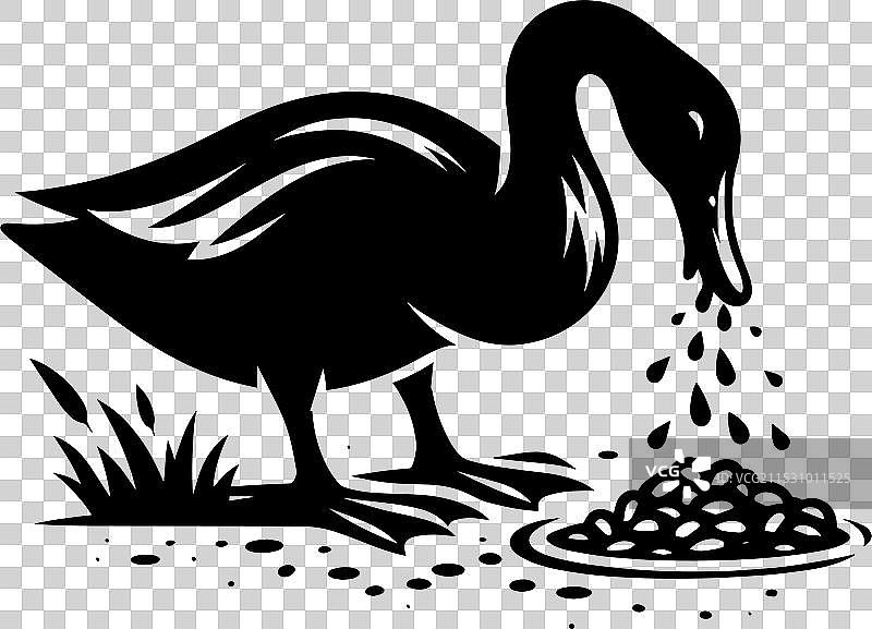 白色背景上的鸭子轮廓剪影图片素材