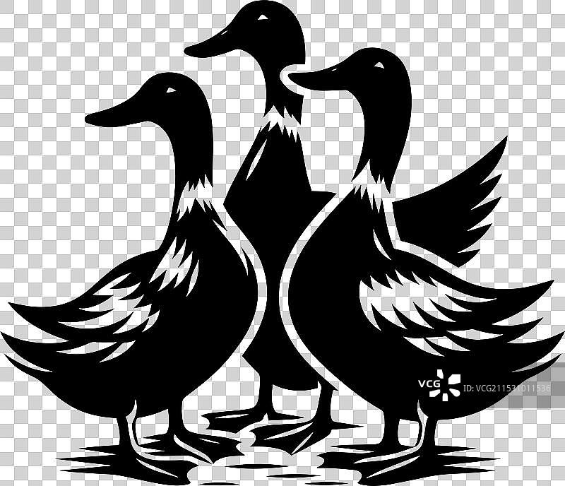 白色背景上的鸭子轮廓剪影图片素材