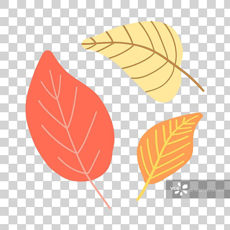 秋季主题的五彩斑斓的落叶图片素材