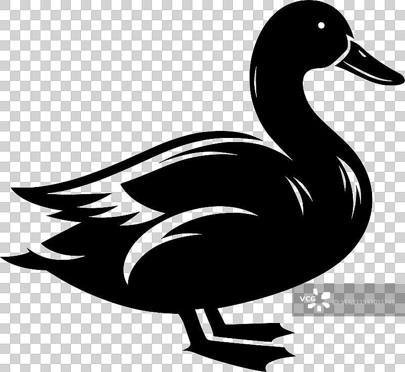 白色背景上的鸭子轮廓剪影图片素材