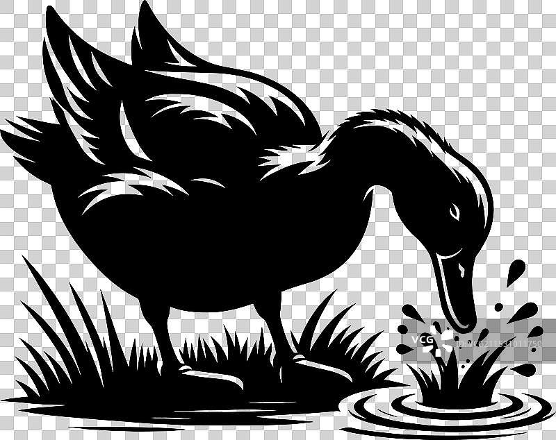 白色背景上的鸭子轮廓剪影图片素材