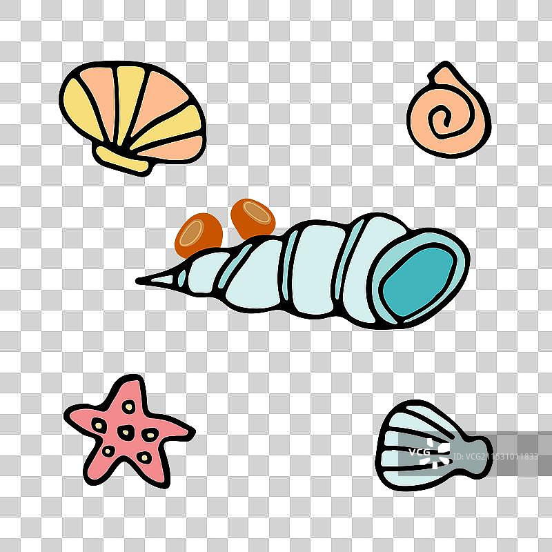 色彩斑斓的海滩贝壳和海星收藏图片素材