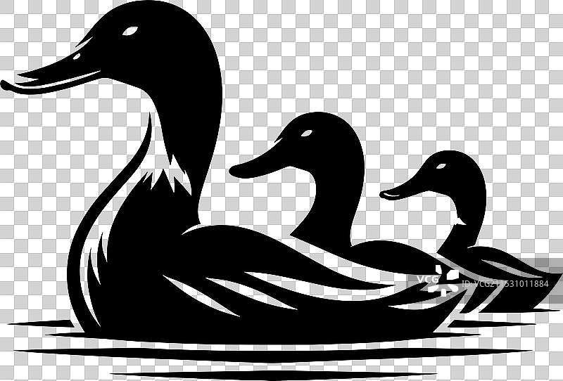 白色背景上的鸭子轮廓剪影图片素材
