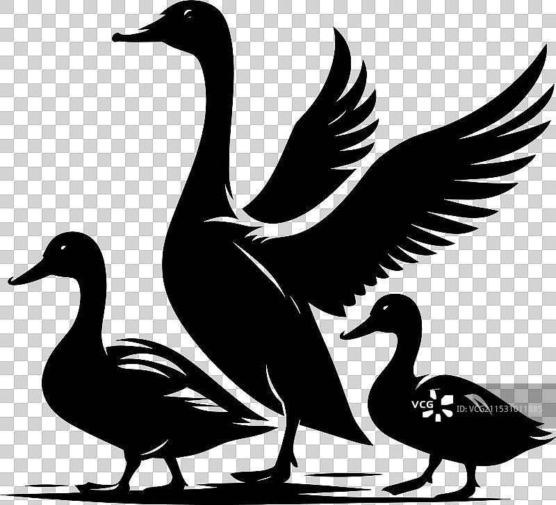 白色背景上的鸭子轮廓剪影图片素材