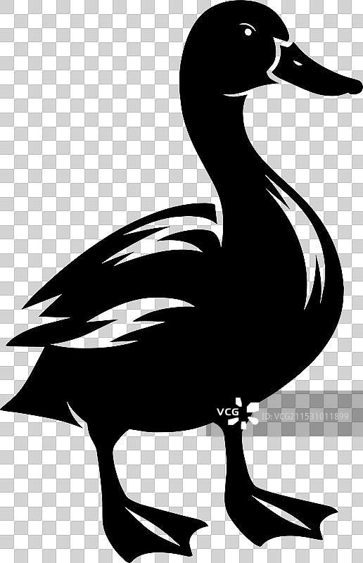 白色背景上的鸭子轮廓剪影图片素材