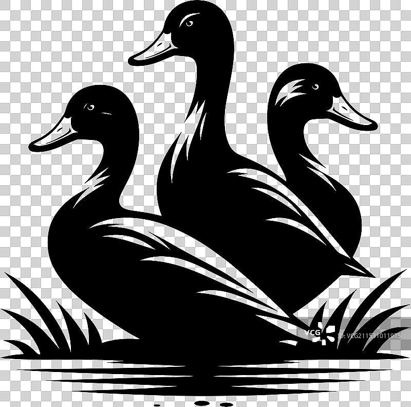 白色背景上的鸭子轮廓剪影图片素材