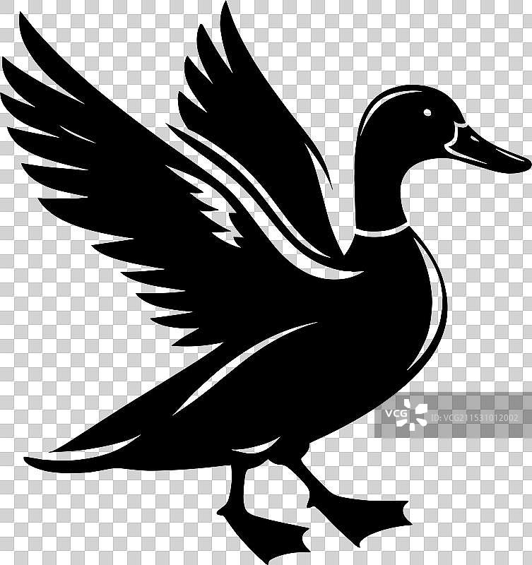 白色背景上的鸭子轮廓剪影图片素材