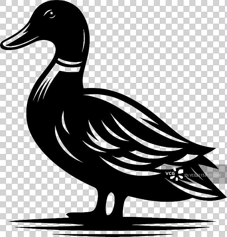 白色背景上的鸭子轮廓剪影图片素材