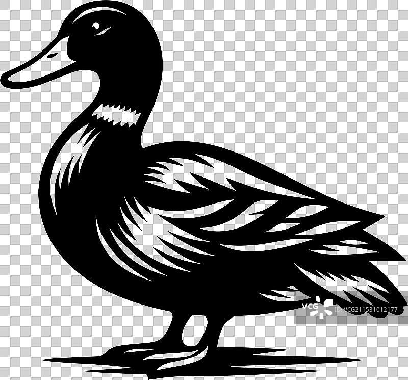 白色背景上孤立的鸭子轮廓图片素材