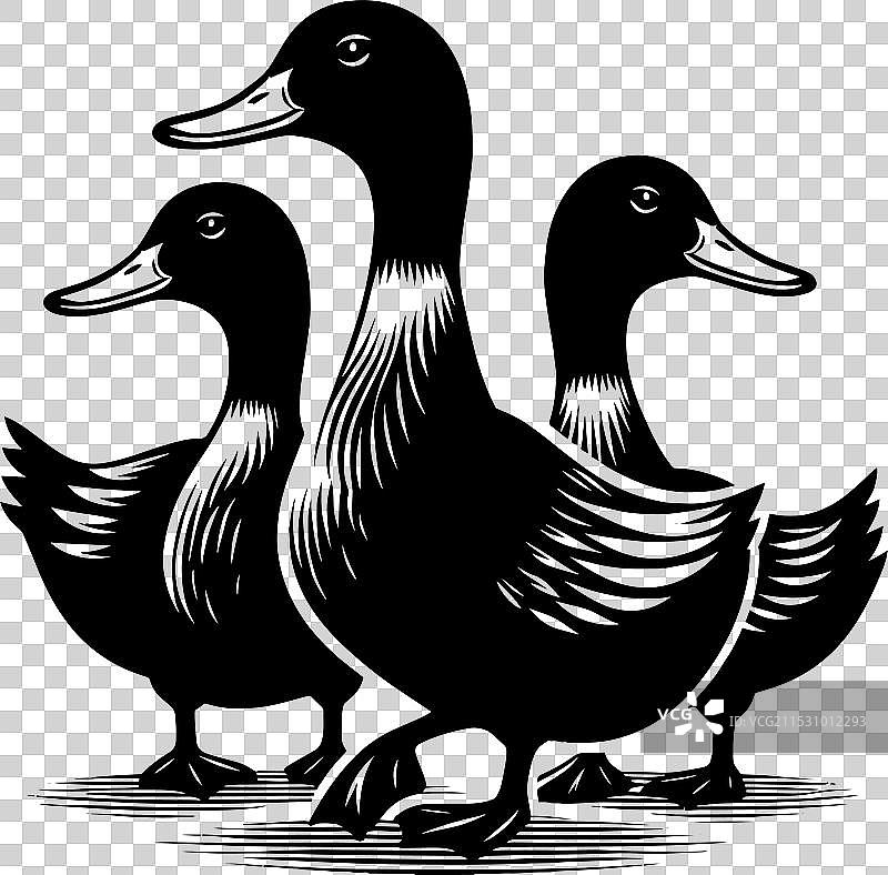 白色背景上的鸭子轮廓剪影图片素材