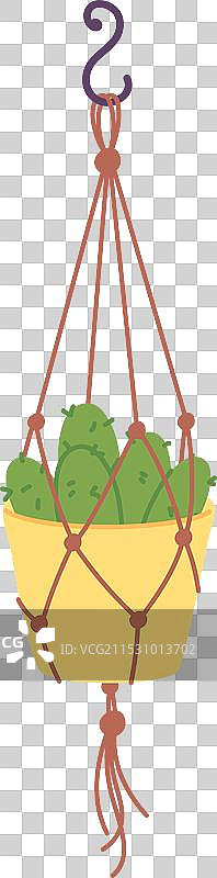 城市花园墙面悬挂的多肉植物图片素材