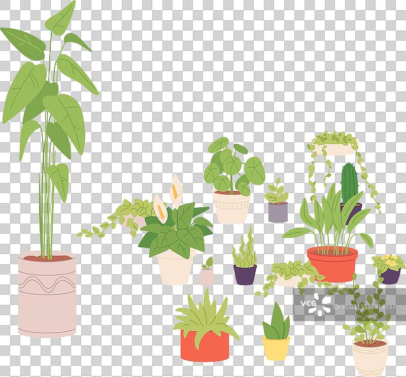 各种室内植物与不同的家居绿植图片素材