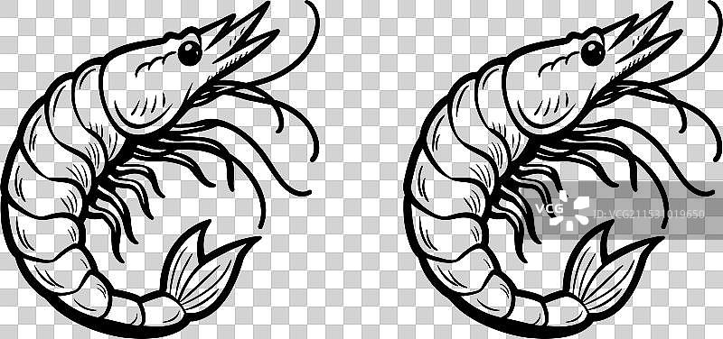 轮廓虾图片素材