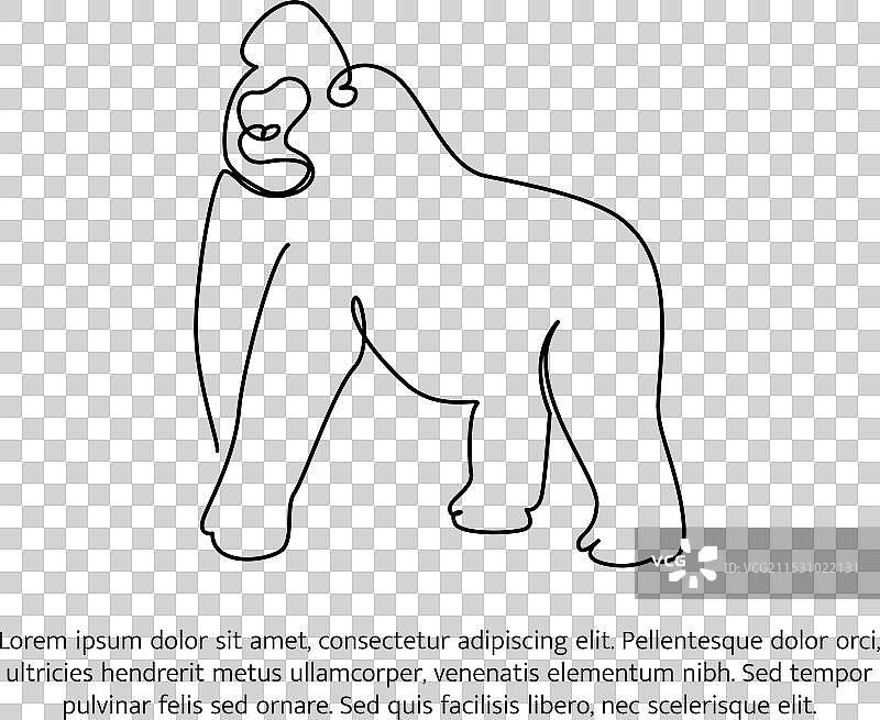 简单的动物轮廓设计：大猩猩线条图片素材