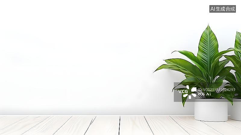 【AI数字艺术】白色背景下盆栽植物的特写镜头图片素材
