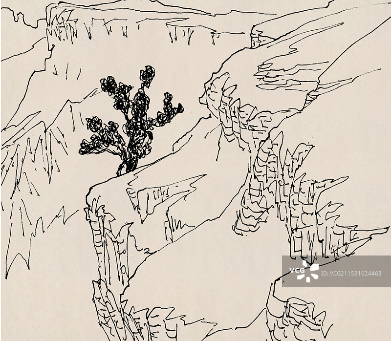 《山端怪柏》纸本钢笔图片素材