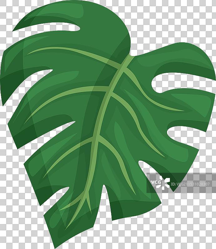 卡通风格的怪兽叶子植物图标图片素材