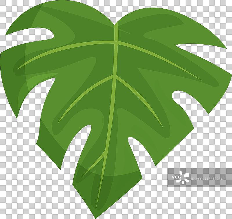 卡通瑞士春季植物叶子图标图片素材