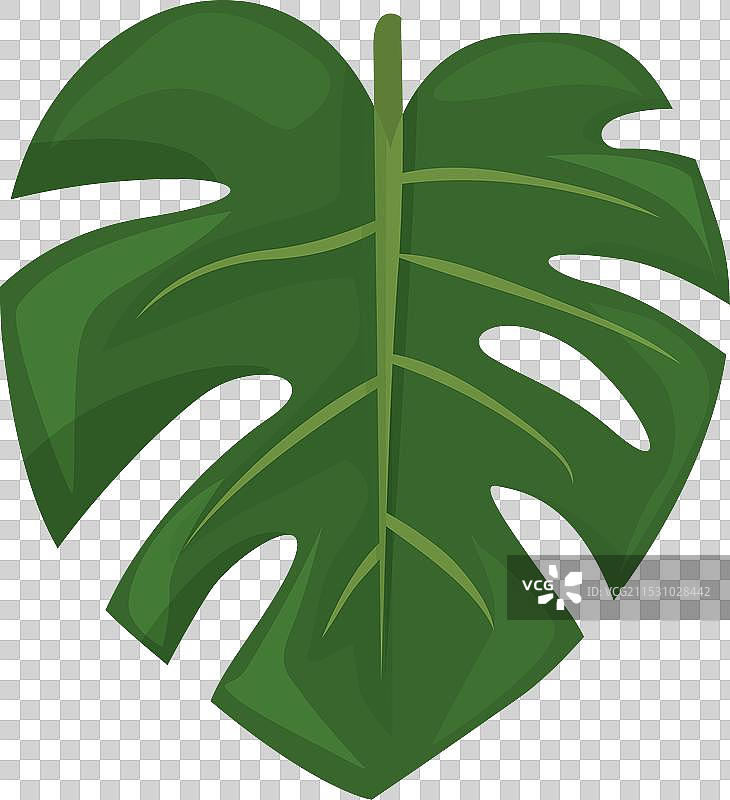 植物时尚偶像卡通绿植图片素材