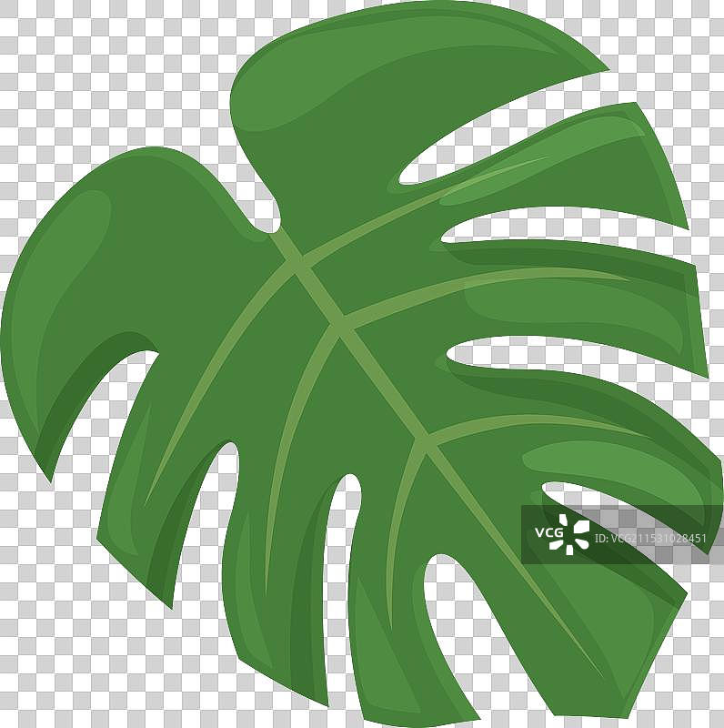 植物时尚偶像卡通怪兽图片素材