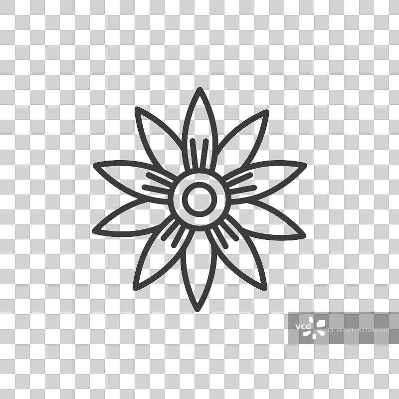 金丝桃线条图标，背景为白色图片素材