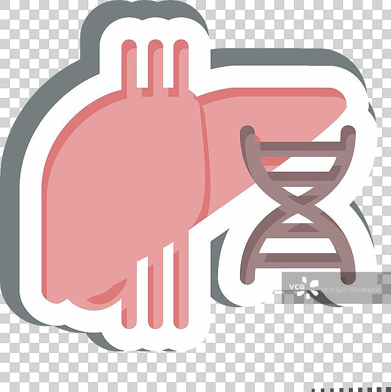 肝囊肿与肝病专家相关的贴纸图片素材