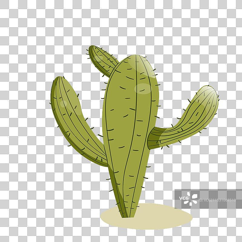 高大的多肉仙人掌，带刺的孤立元素图片素材