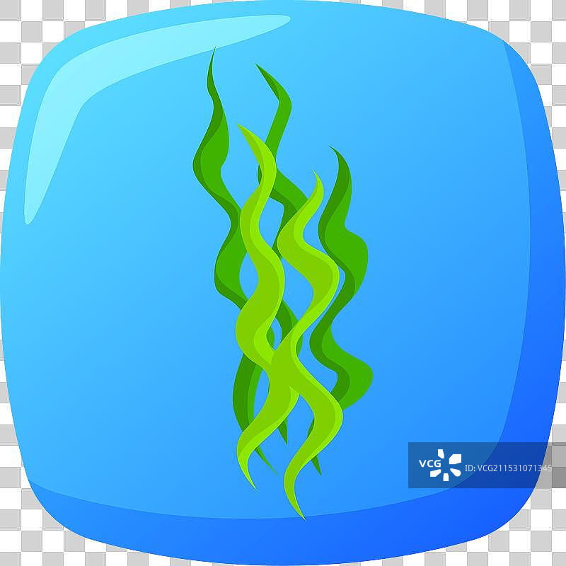 蓝水中的绿色海藻水生植物图片素材