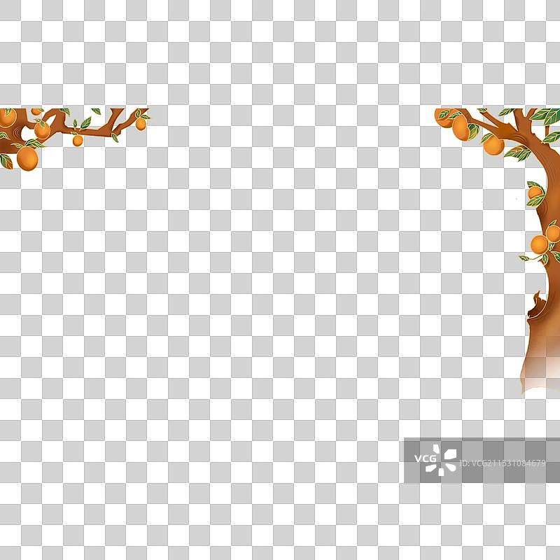 橙子树图片素材