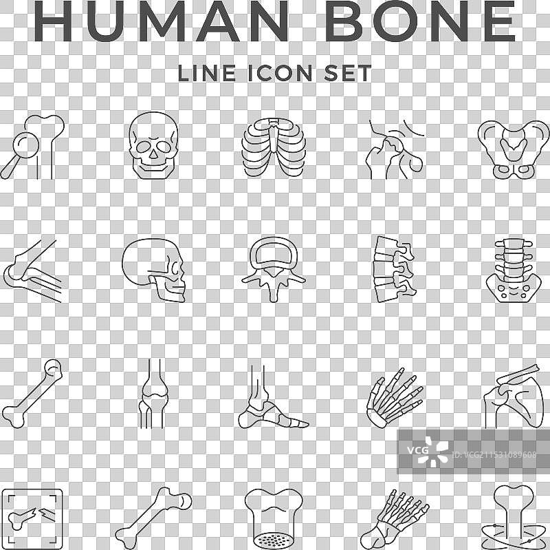 人骨的线条图标图片素材