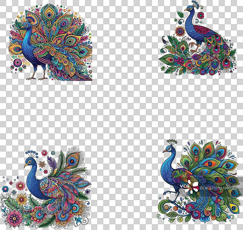 五彩斑斓的孔雀 ss 01图片素材