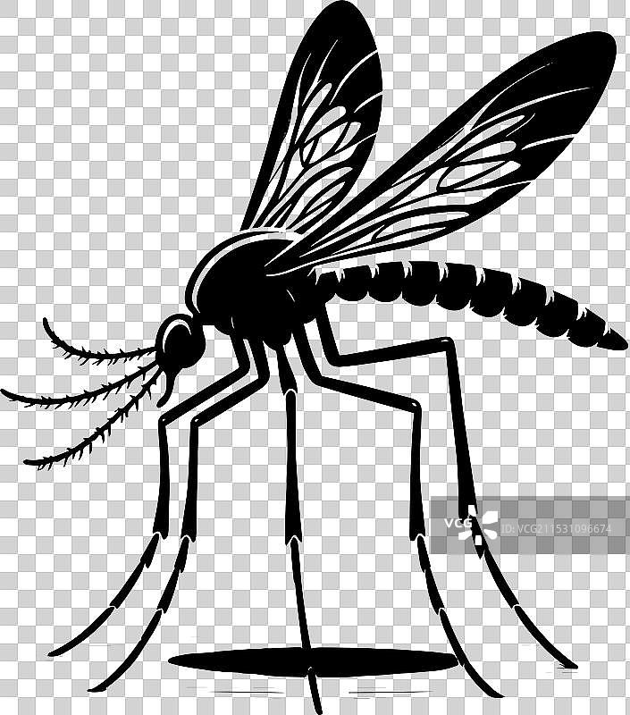 白色背景上孤立的蚊子剪影图片素材